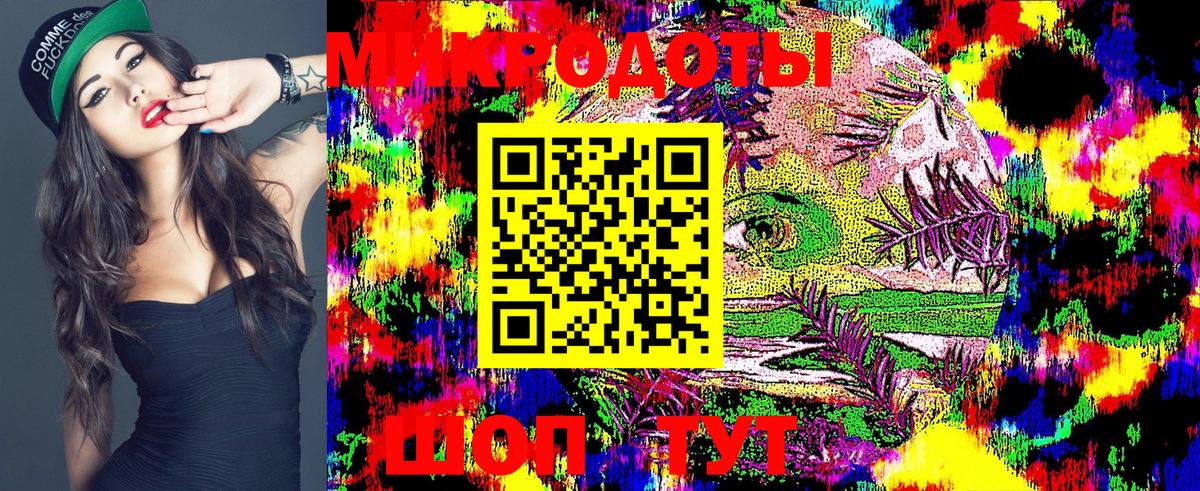 Галлюциногенные грибы Psilocybe Спасск-Дальний