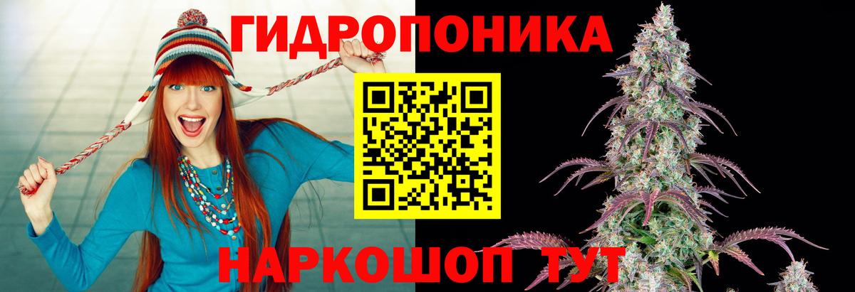 Шишки марихуана White Widow  Бошки Шишки ГИДРОПОН  Конопля SATIVA & INDICA  Спасск-Дальний  Вход с VPN 